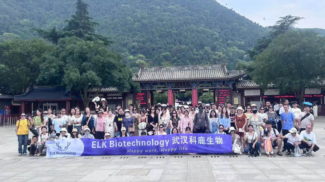 意大利贵宾会-贵宾会官方网站入口