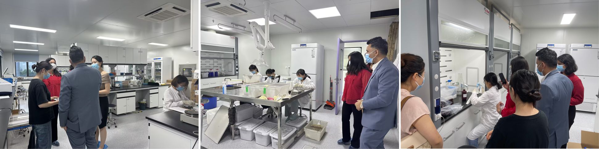 意大利贵宾会-贵宾会官方网站入口