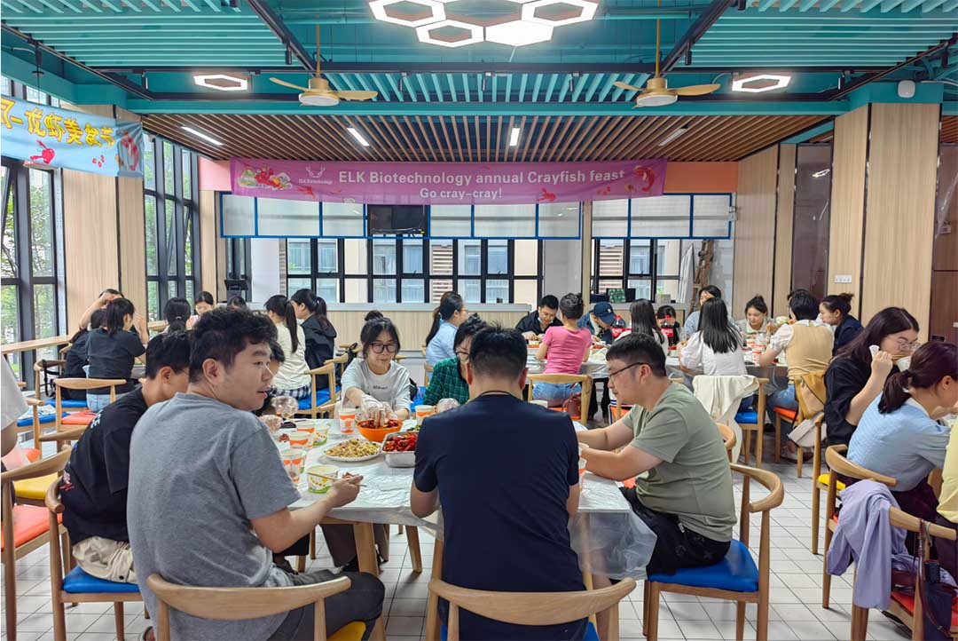 意大利贵宾会-贵宾会官方网站入口