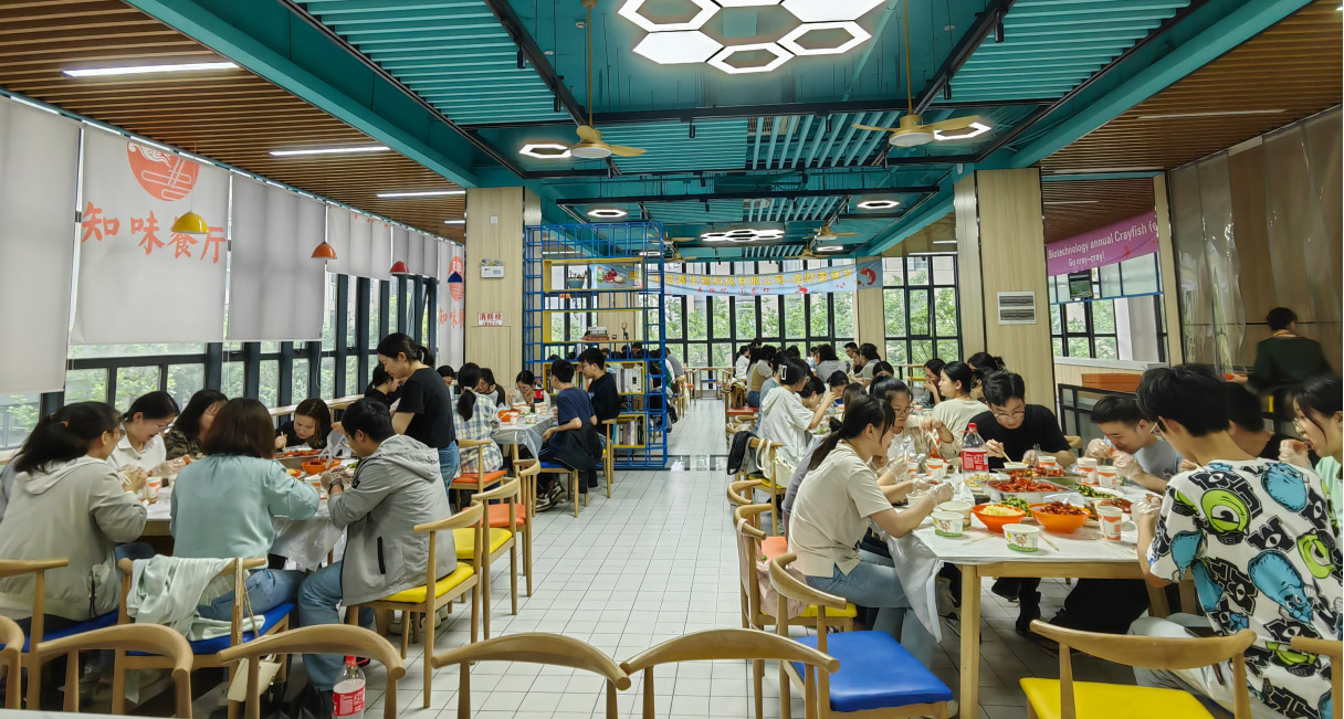 意大利贵宾会-贵宾会官方网站入口