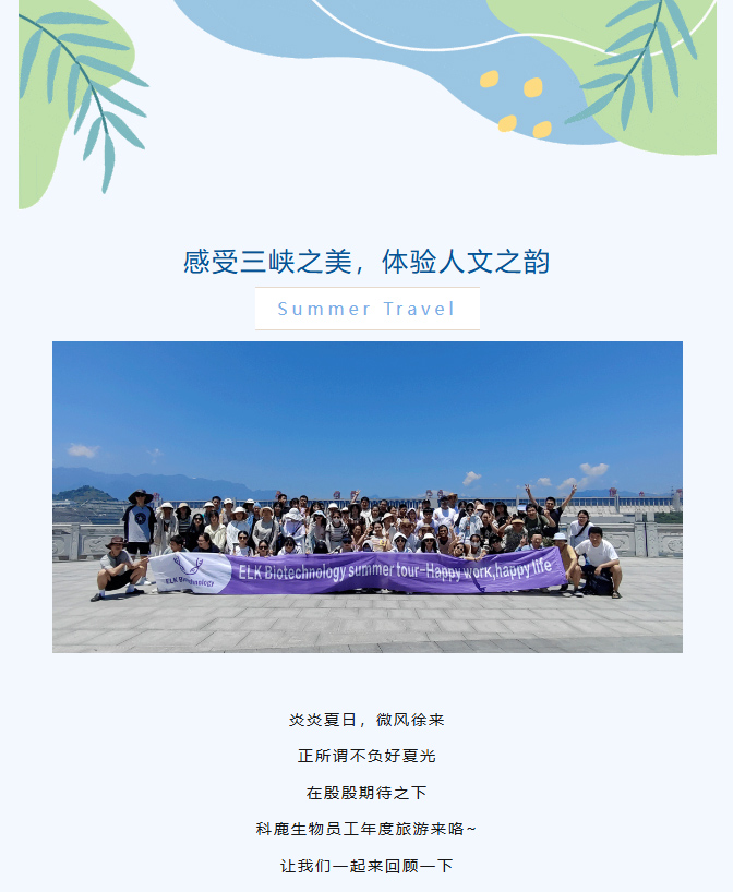 意大利贵宾会-贵宾会官方网站入口