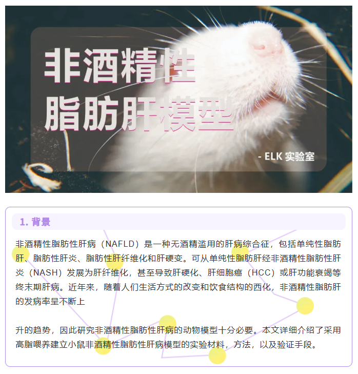 意大利贵宾会-贵宾会官方网站入口