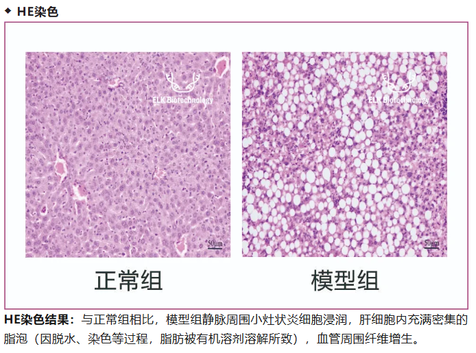 意大利贵宾会-贵宾会官方网站入口