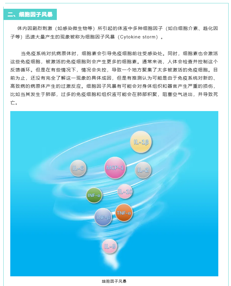 意大利贵宾会-贵宾会官方网站入口