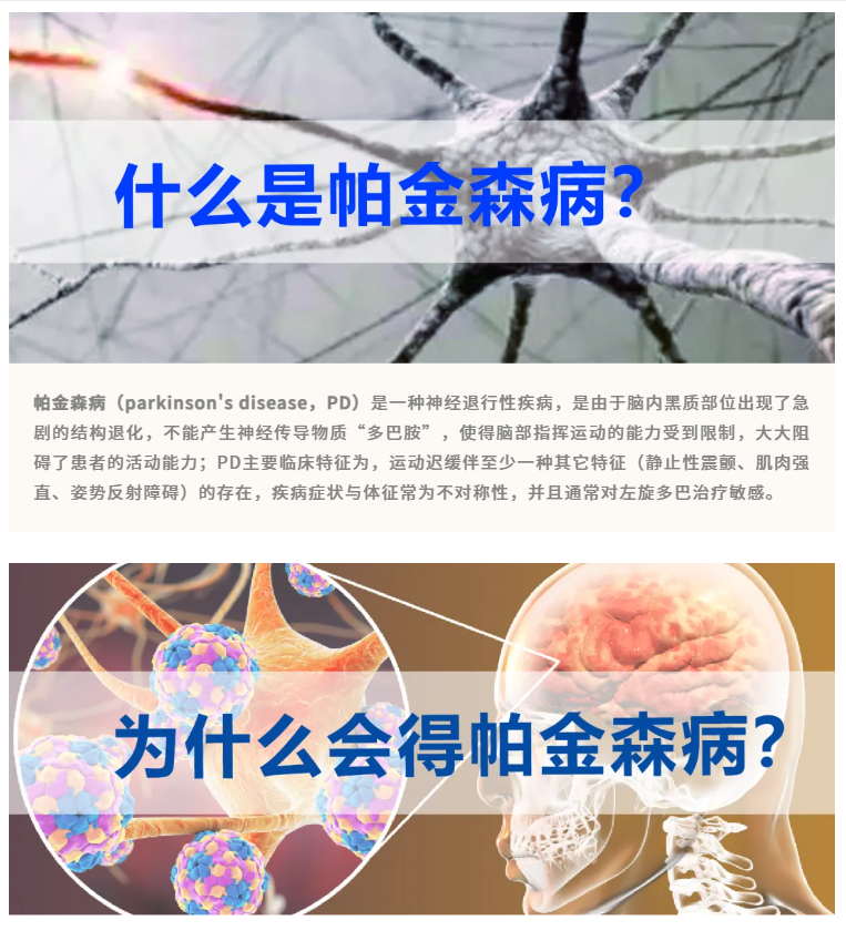 意大利贵宾会-贵宾会官方网站入口