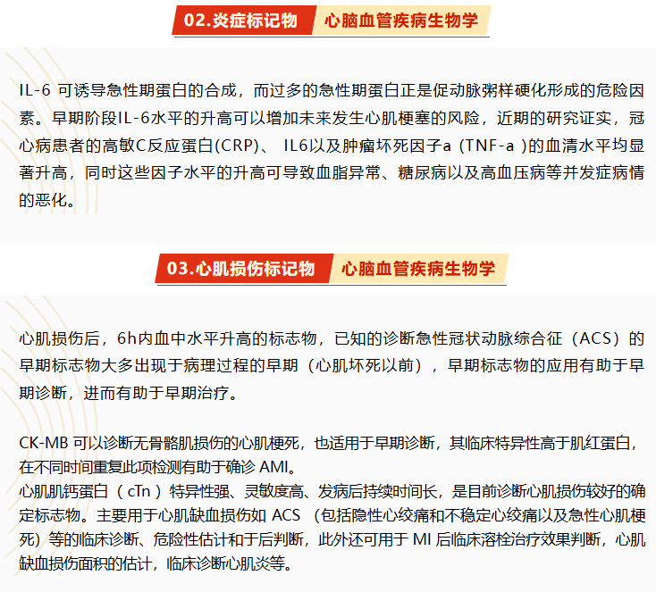 意大利贵宾会-贵宾会官方网站入口