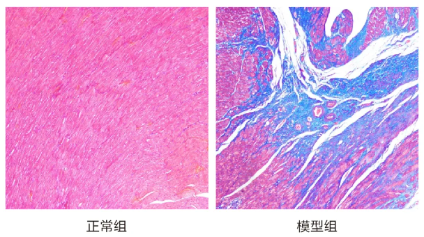 意大利贵宾会-贵宾会官方网站入口