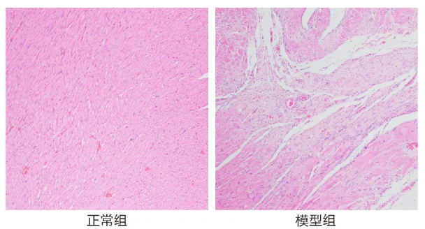 意大利贵宾会-贵宾会官方网站入口