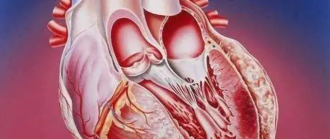 意大利贵宾会-贵宾会官方网站入口