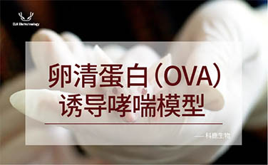 意大利贵宾会-贵宾会官方网站入口