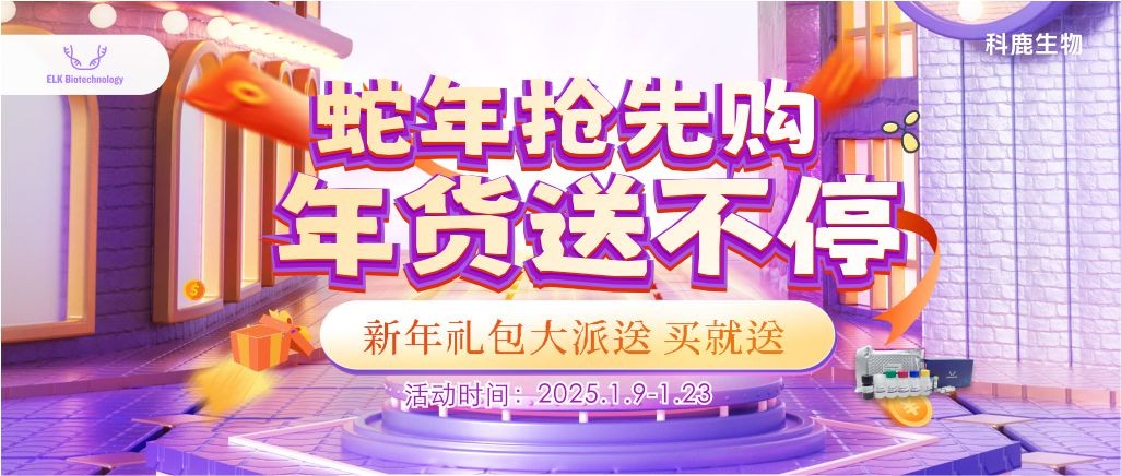 意大利贵宾会-贵宾会官方网站入口