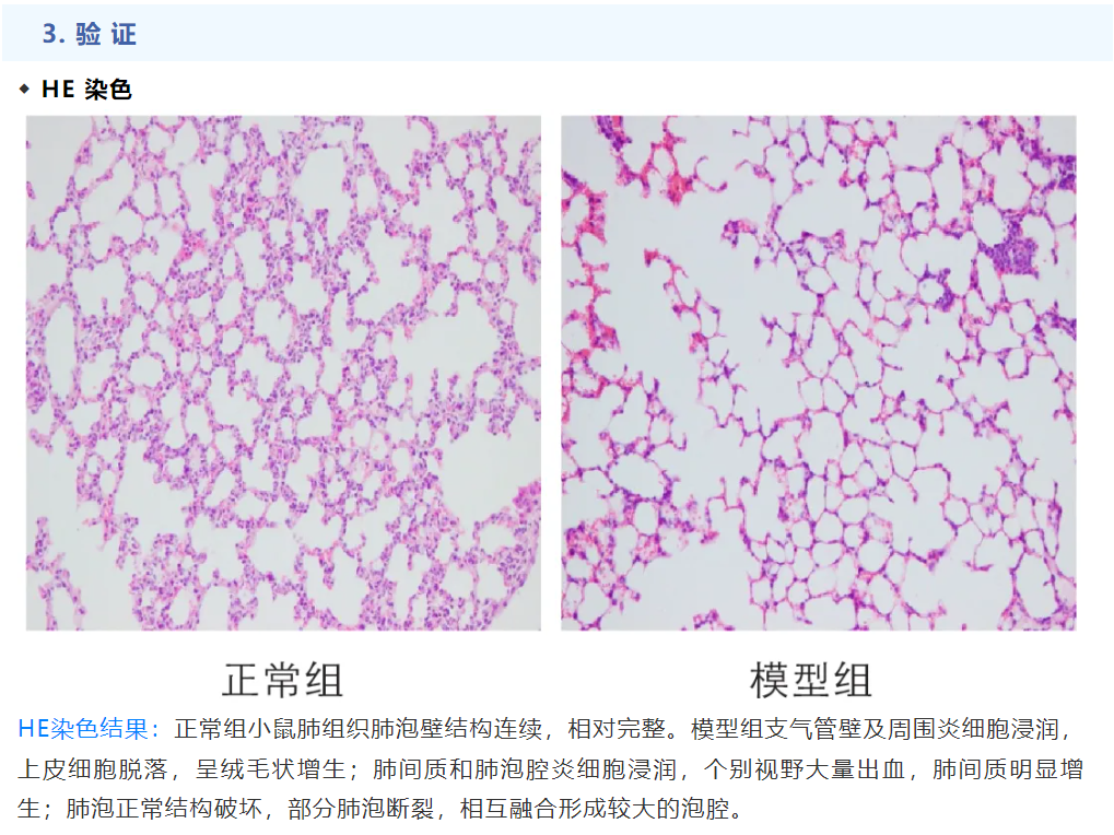 意大利贵宾会-贵宾会官方网站入口