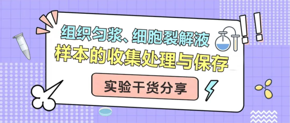 意大利贵宾会-贵宾会官方网站入口