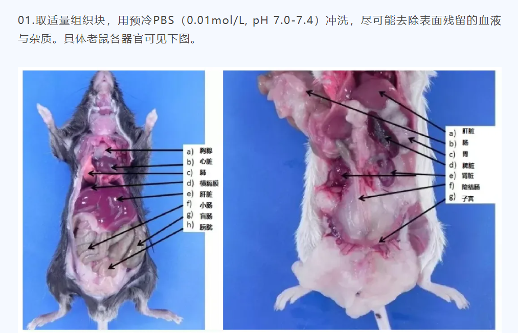 意大利贵宾会-贵宾会官方网站入口