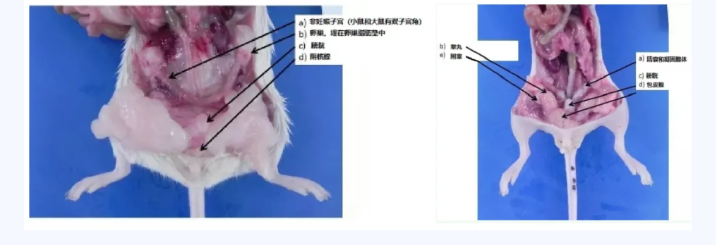 意大利贵宾会-贵宾会官方网站入口