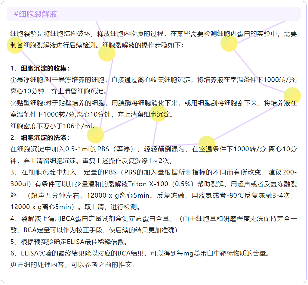 意大利贵宾会-贵宾会官方网站入口