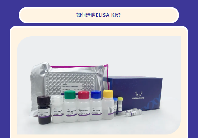意大利贵宾会-贵宾会官方网站入口