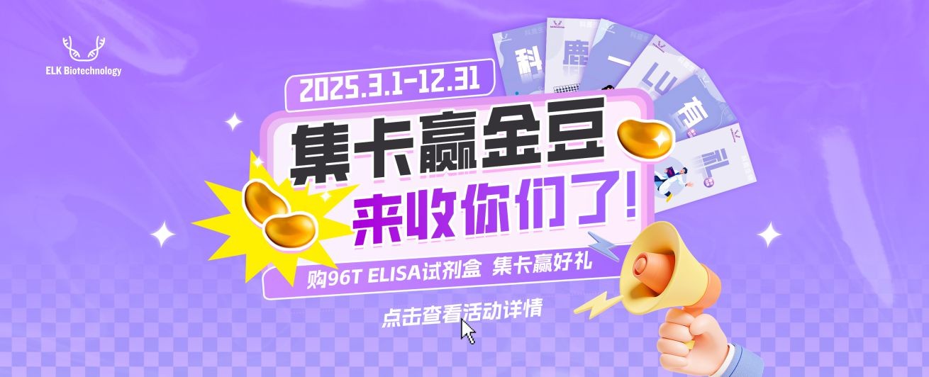 意大利贵宾会-贵宾会官方网站入口