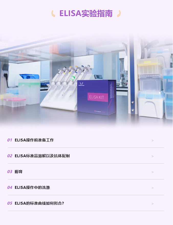 意大利贵宾会-贵宾会官方网站入口