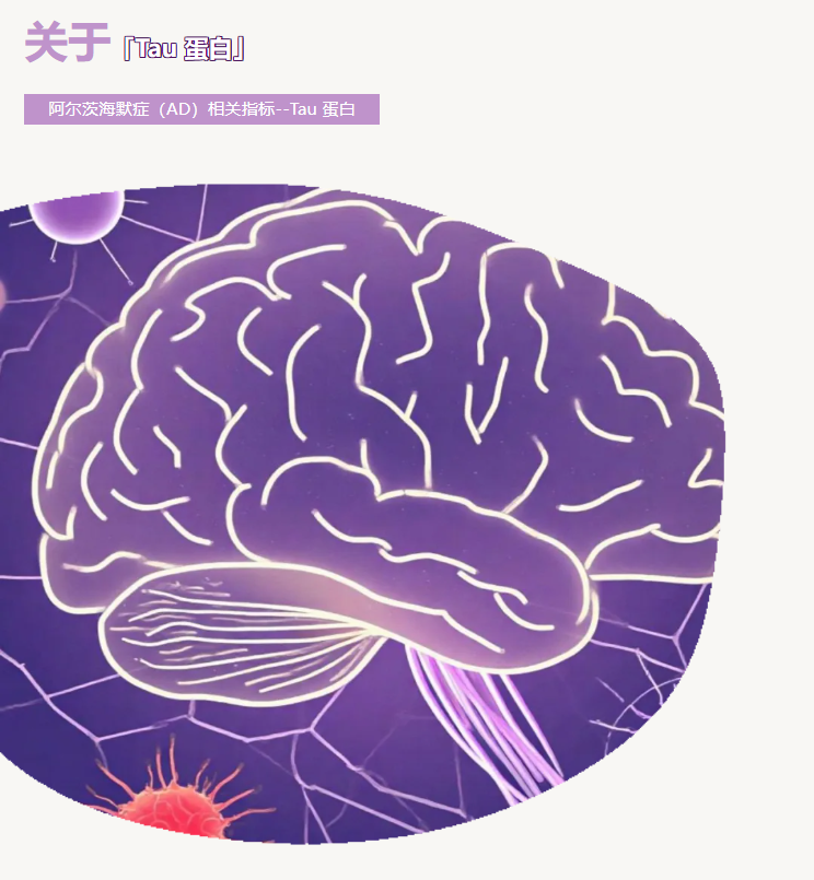 意大利贵宾会-贵宾会官方网站入口