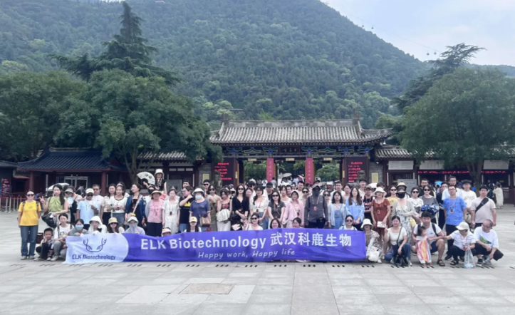 意大利贵宾会-贵宾会官方网站入口