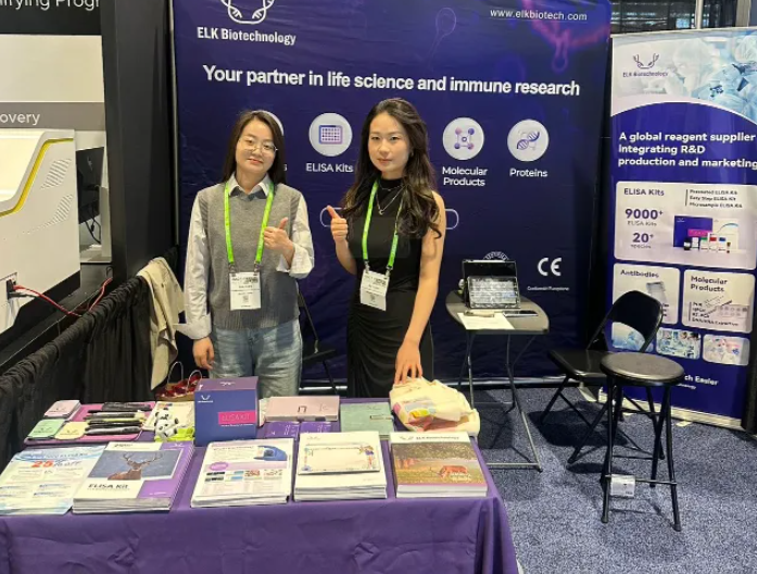 意大利贵宾会-贵宾会官方网站入口