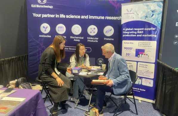 意大利贵宾会-贵宾会官方网站入口