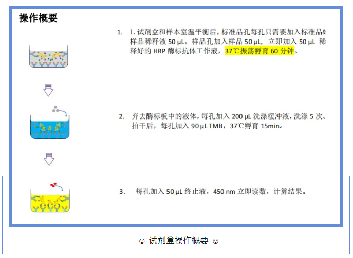 意大利贵宾会-贵宾会官方网站入口