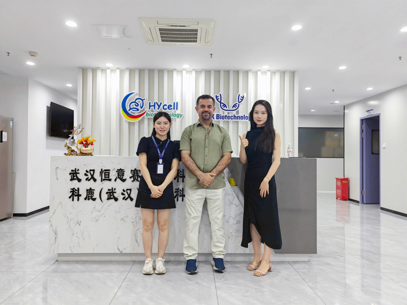 意大利贵宾会-贵宾会官方网站入口