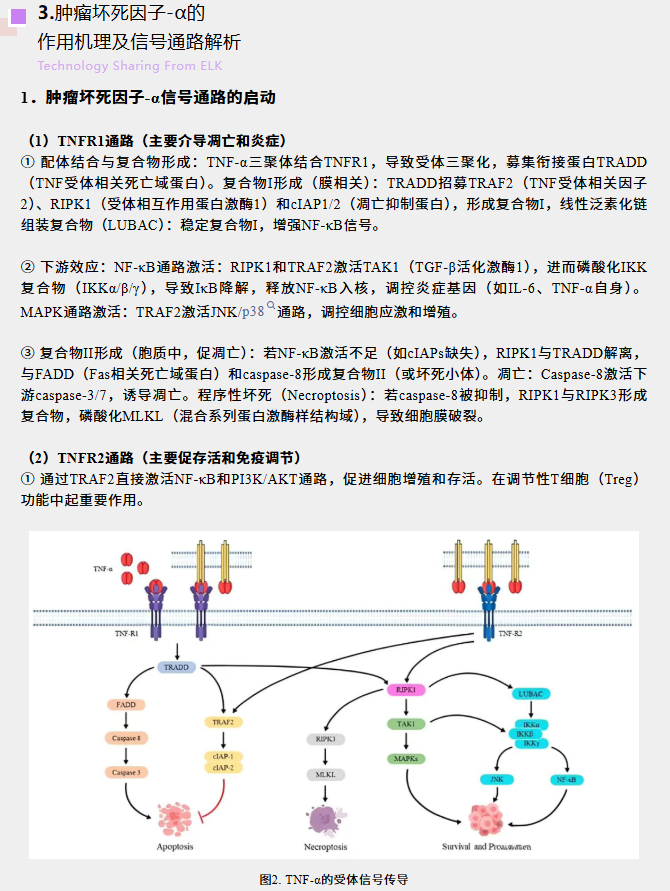 意大利贵宾会-贵宾会官方网站入口