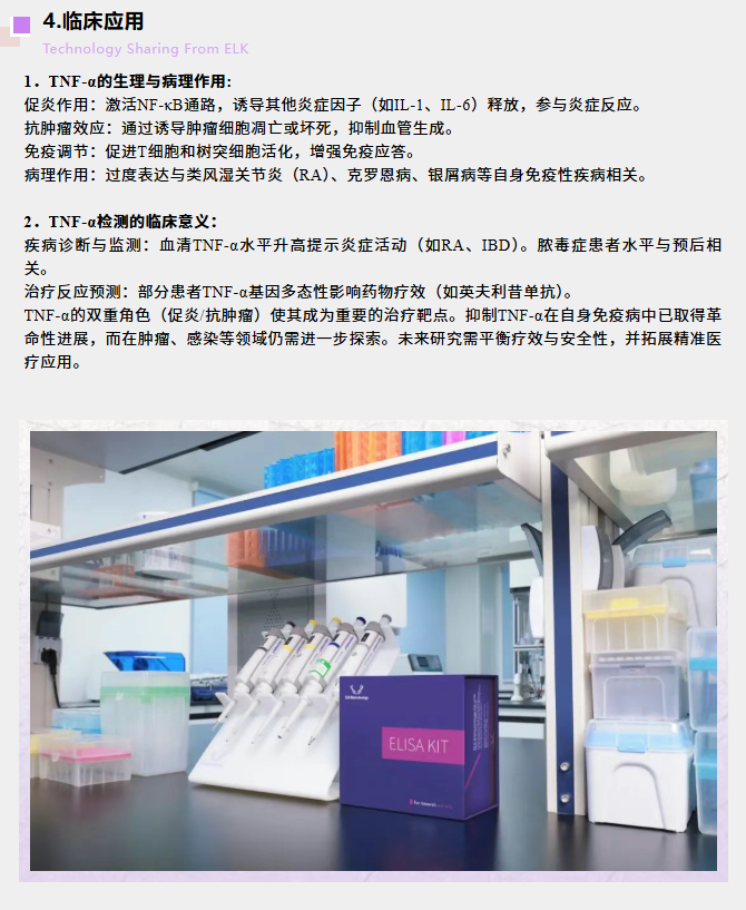 意大利贵宾会-贵宾会官方网站入口