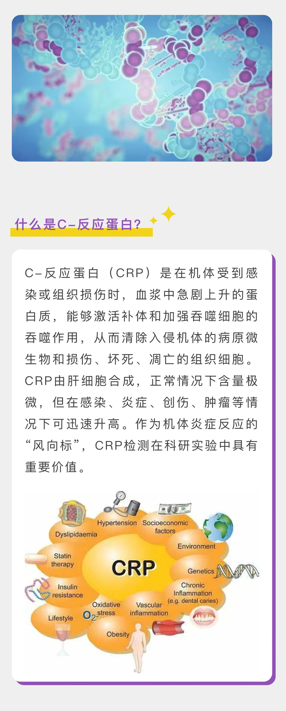 意大利贵宾会-贵宾会官方网站入口