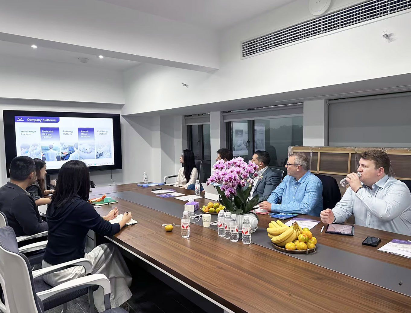 意大利贵宾会-贵宾会官方网站入口