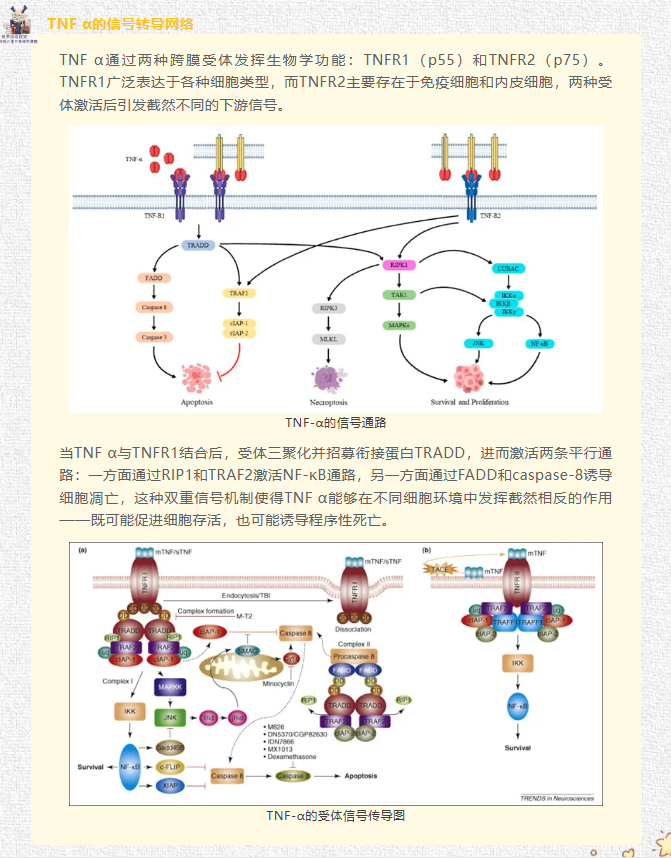 意大利贵宾会-贵宾会官方网站入口