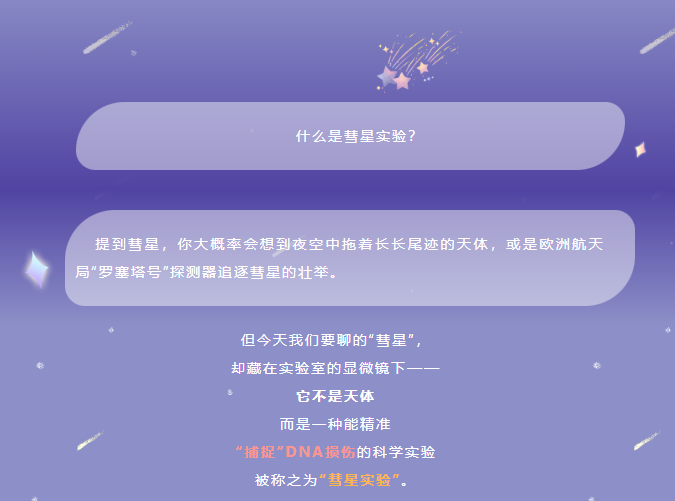 意大利贵宾会-贵宾会官方网站入口