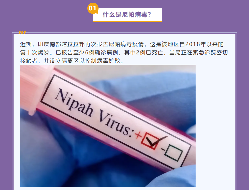 意大利贵宾会-贵宾会官方网站入口