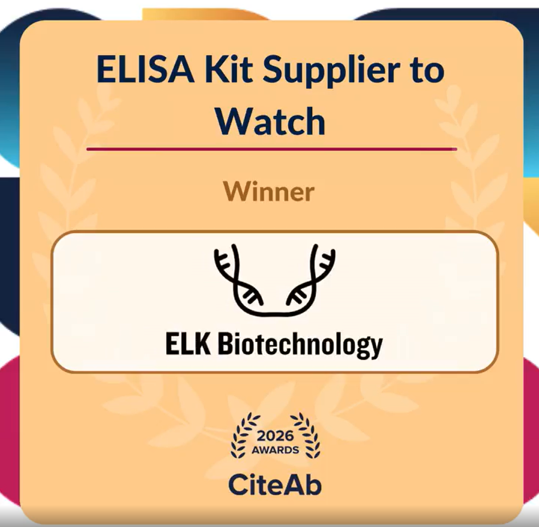 意大利贵宾会-贵宾会官方网站入口