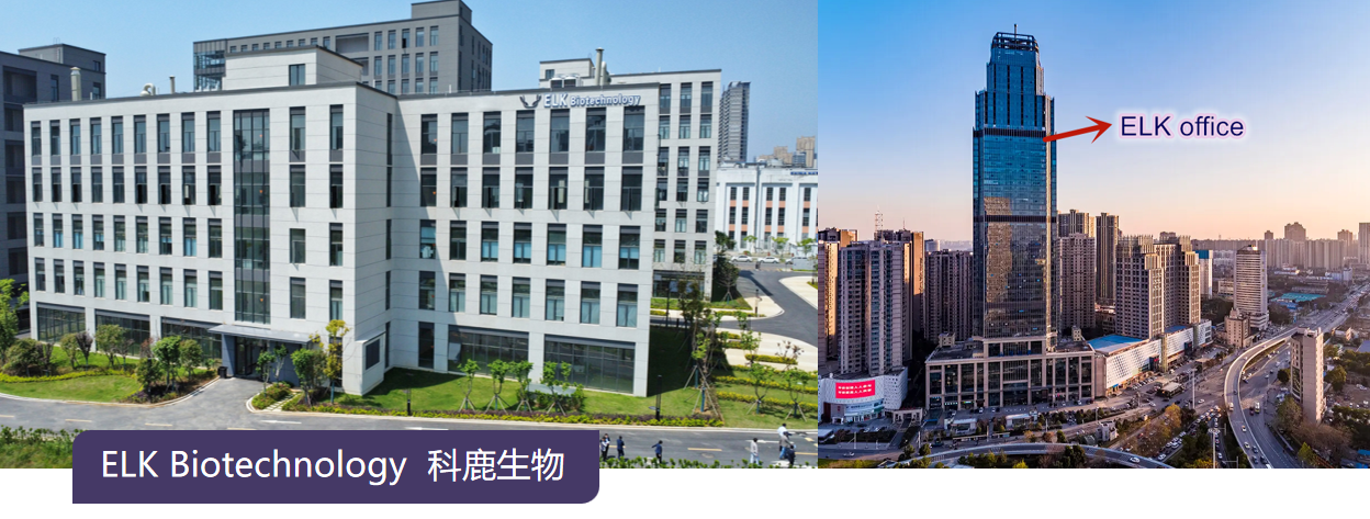 意大利贵宾会-贵宾会官方网站入口