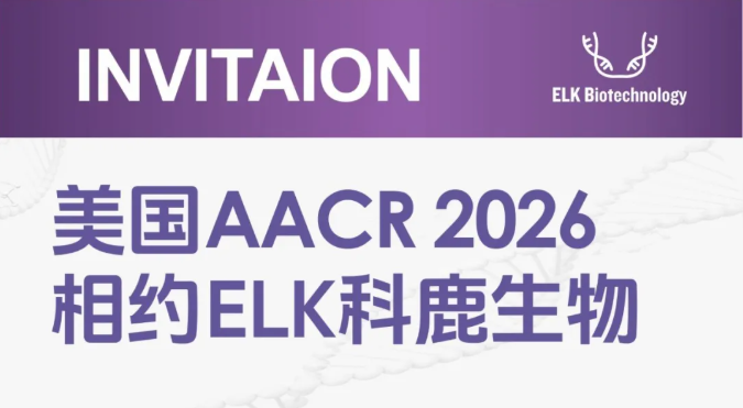 意大利贵宾会-贵宾会官方网站入口