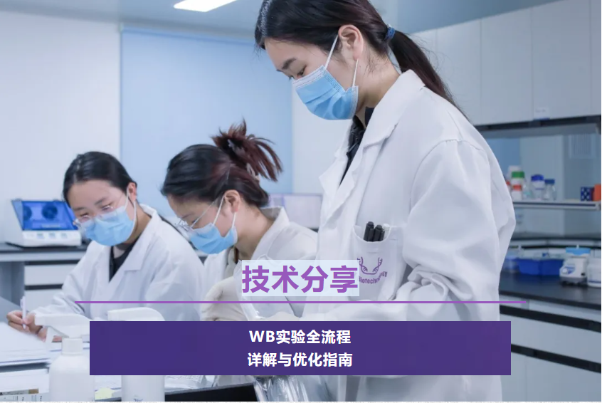 意大利贵宾会-贵宾会官方网站入口