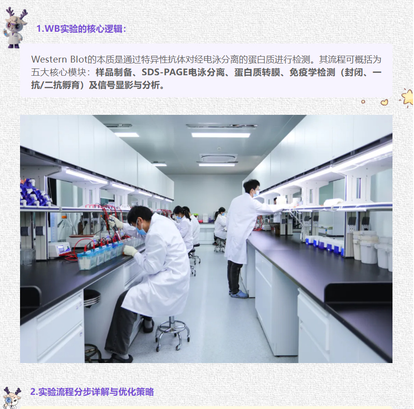 意大利贵宾会-贵宾会官方网站入口