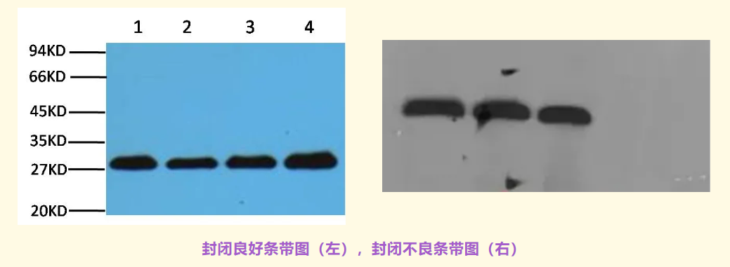 意大利贵宾会-贵宾会官方网站入口