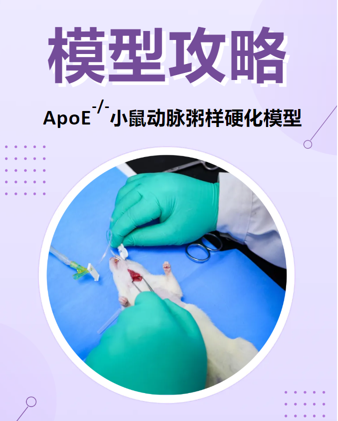 意大利贵宾会-贵宾会官方网站入口