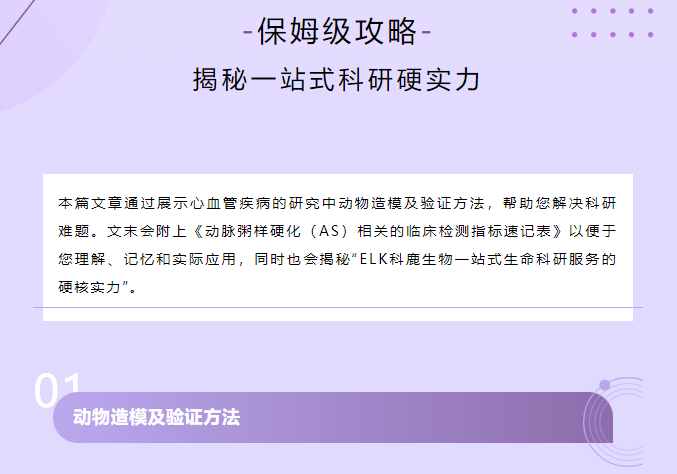 意大利贵宾会-贵宾会官方网站入口