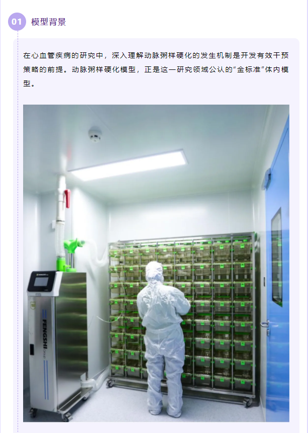 意大利贵宾会-贵宾会官方网站入口