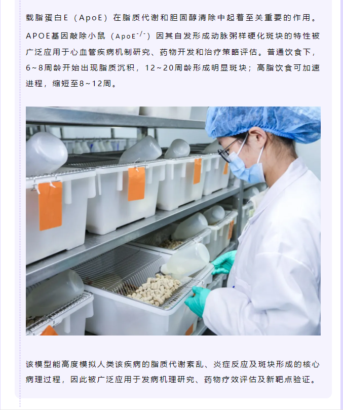 意大利贵宾会-贵宾会官方网站入口