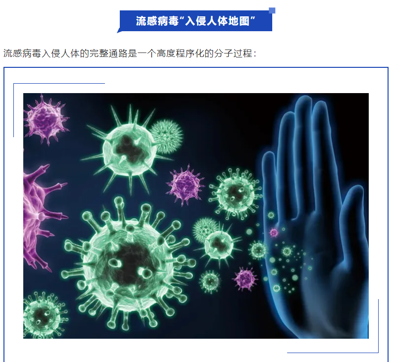 意大利贵宾会-贵宾会官方网站入口