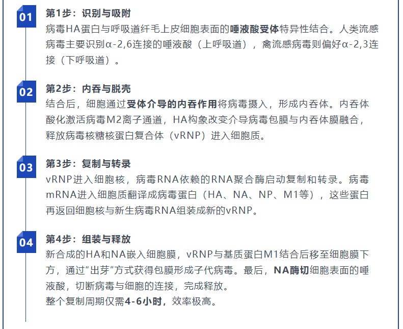 意大利贵宾会-贵宾会官方网站入口