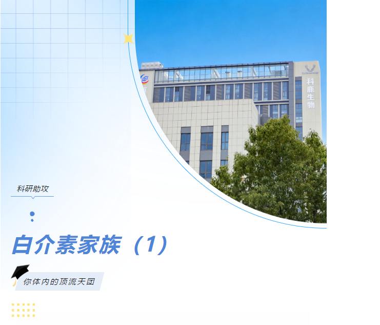 意大利贵宾会-贵宾会官方网站入口