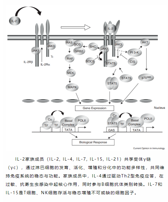 意大利贵宾会-贵宾会官方网站入口
